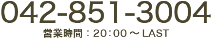 tel:042-851-3004 / 営業時間：20：00 〜 LAST / 定休日：月曜日