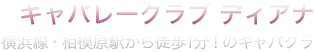 キャバレークラブ ディアナ - 横浜線・相模原駅から徒歩1分！のキャバクラ